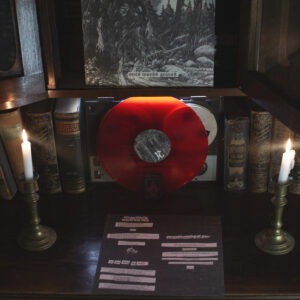 OWLS WOODS GRAVES - owls woods graves (RED VINYL)